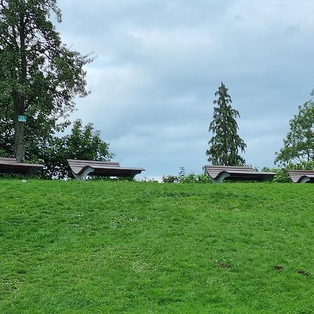 Fewo Zur Alten Tischlerei Herzberg am Harz Extérieur photo